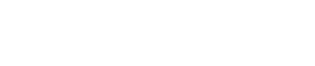 EU Logo